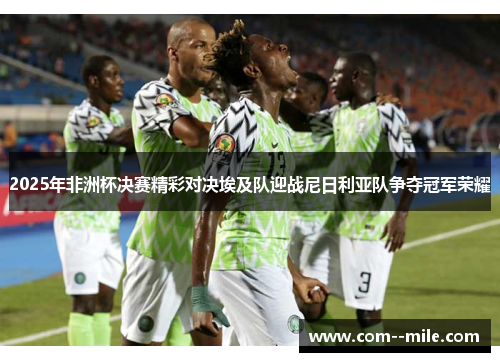 2025年非洲杯决赛精彩对决埃及队迎战尼日利亚队争夺冠军荣耀